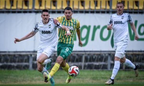Добруджа - Пирин 2:1 