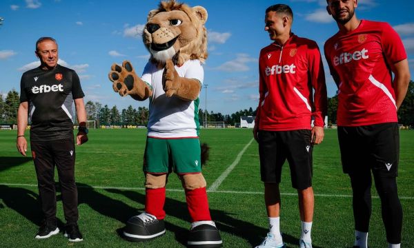 БФС с важна информация за феновете преди България - Испания