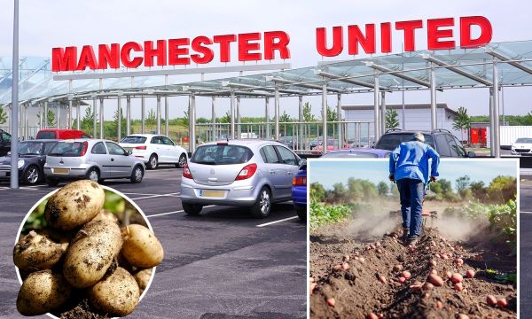 Базата на Ман Юнайтед може дa стане картофено поле