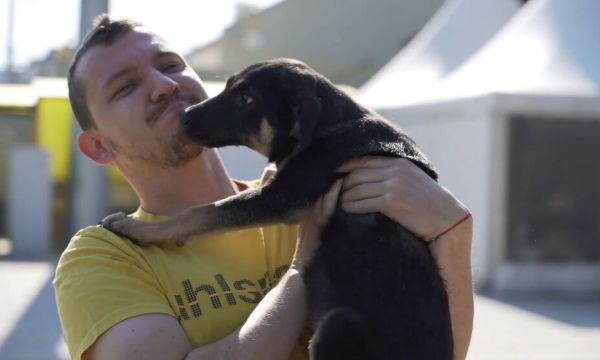 Ботев Пловдив с благородна инициатива в помощ на бездомни кученца