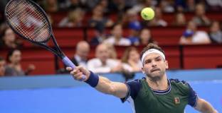 Григор приключи във Виена