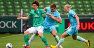 Вълците захапаха Бременските музиканти и ги бутнаха към пропастта