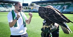 Всички футболисти на Лудогорец са налични 