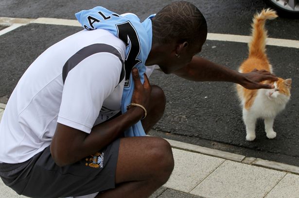 Емблематичната котка на Манчестър Сити Уимблайдън почина от старост