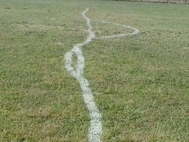 Sport.ro показа снимка на маркировка на игрище в съседна Румъния. Предлагаме да спрат ракията на Бай Иванеско :D