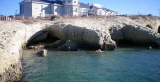 Затворници обявиха гладна стачка заради невъзможност да гледат Световното 