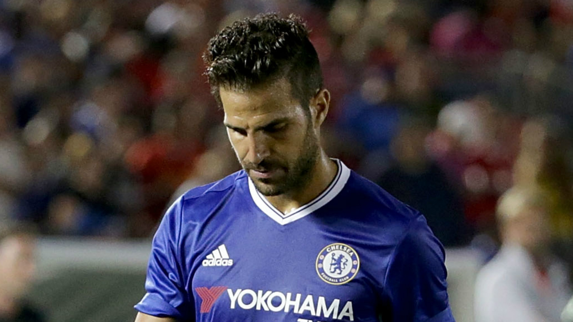 Фабрегас отказа оферта на китайци 