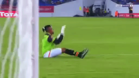 Как празнуват в Купата на Африка 2017.