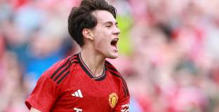 Пелистри получи зелена светлина да напусне  Ман Юнайтед