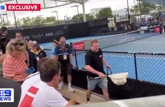 Опасна змия пропълзя на корта по време на мача на Тийм.