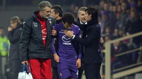 Фиорентина - Ливорно 1:0 