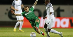 Лудогорец с погром над Берое (видео)