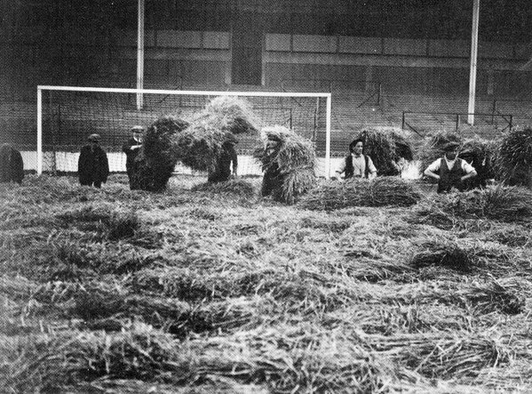1925 година. Косене на трева на Уайт Харт Лейн.