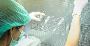 Тестовете за коронавирус в Барселона се оказаха отрицателни