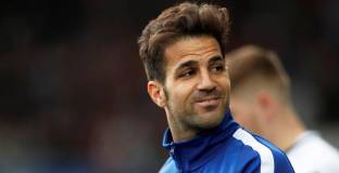  Фабрегас може да сложи край на кариерата си