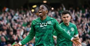 Ирландия - Белгия 2:2 