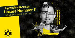 Вайденфелер ще проведе прощален мач на 7 септември 