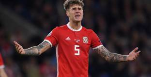 Тотнъм купи уелски национал