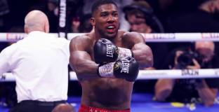 Джошуа назова главната си цел през тази година