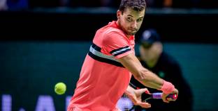 Григор Димитров - Давид Гофен 1:0 и отказ 