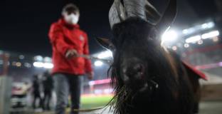 Кьолн - Аугсбург 0:2 