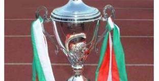  Ясни са полуфиналните двойки от Купата на България 