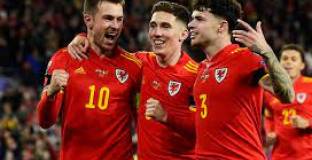 Уелс - Беларус 5:1 