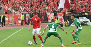 Фенове на ЦСКА и Лудогорец се обединиха за благородна кауза