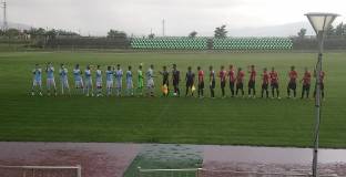 Дунав мачка в контрола