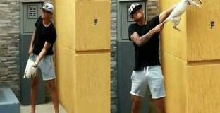 Клуб разтрогна с играчи- насилници над животни 