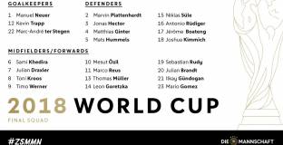 Сане няма да играе на Световното 