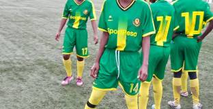 Пчели прекъснаха мач в Танзания