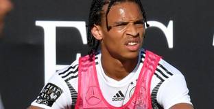 Льов за Сане: труден избор 