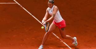 Плишкова отпадна от 