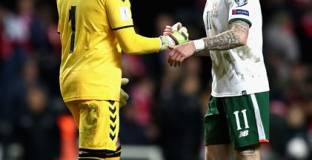 Дания - Ирландия 0:0 