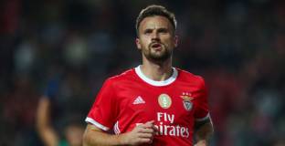 Тотнъм може да подпише със Сеферович 