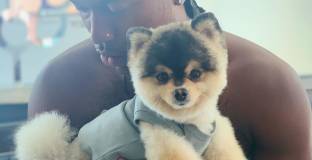 Намериха кучето на Стъридж