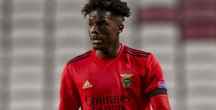   Марсилия се интересува от Тавареш