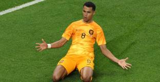 Вирус удари лагера на Нидерландия