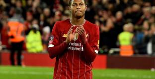 Суонзи нае Брюстър