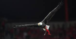 Двама пострадаха при нападение на автобуса на Бенфика