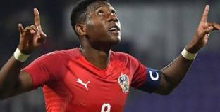 Австрия - Швеция 2:0