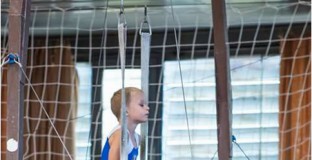 Автомобилна катастрофа погуби шампион 