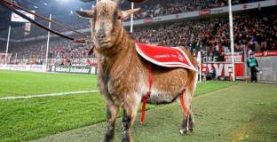 Пенсионираха талисмана на Кьолн