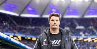 Хамбургер - Волфсбург 0:1 