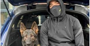 Гринууд плати 25 0000 за куче-пазач