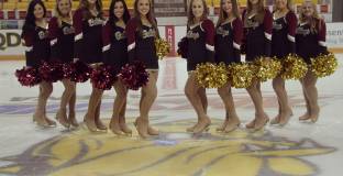 Отава помете Бъфало, Аризона и Уинипег със загуби