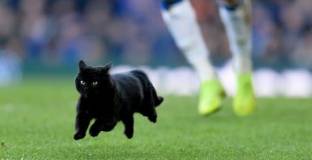 Евертън - Уувърхемптън 1:3 