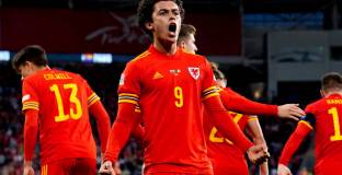 Уелс - Белгия 1:1 