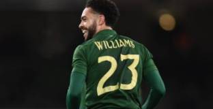 Ирландия - Нова Зеландия 3:1